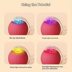 Cat's & Dog's Interactive Smart Rolling Ball Toy