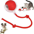 Cat's & Dog's Interactive Smart Rolling Ball Toy