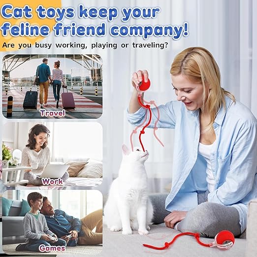 Cat's & Dog's Interactive Smart Rolling Ball Toy
